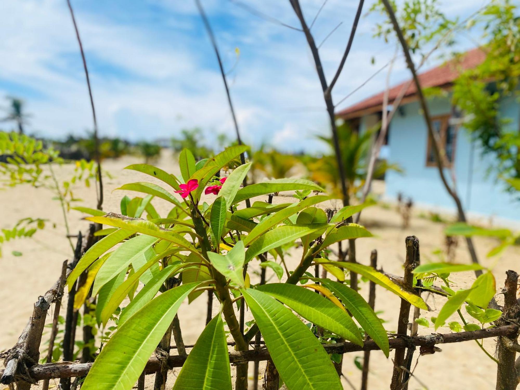 Oceano Beach Villa Аругам Бей Екстериор снимка